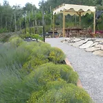 Il Giardino Degli Angeli *