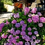 Il Giardino Degli Angeli Bed & Breakfast