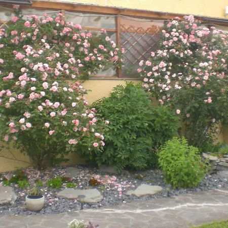 Il Giardino Degli Angeli Bed & Breakfast *