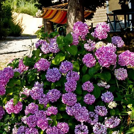 Il Giardino Degli Angeli فندق مبيت وإفطار