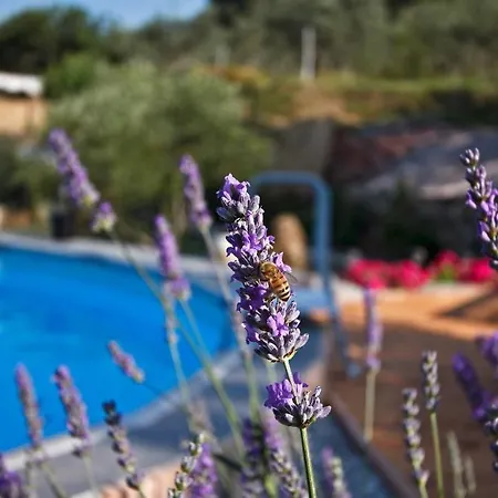 فندق مبيت وإفطار Il Giardino Degli Angeli *