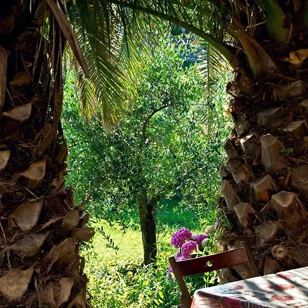Bed & Breakfast Il Giardino Degli Angeli *