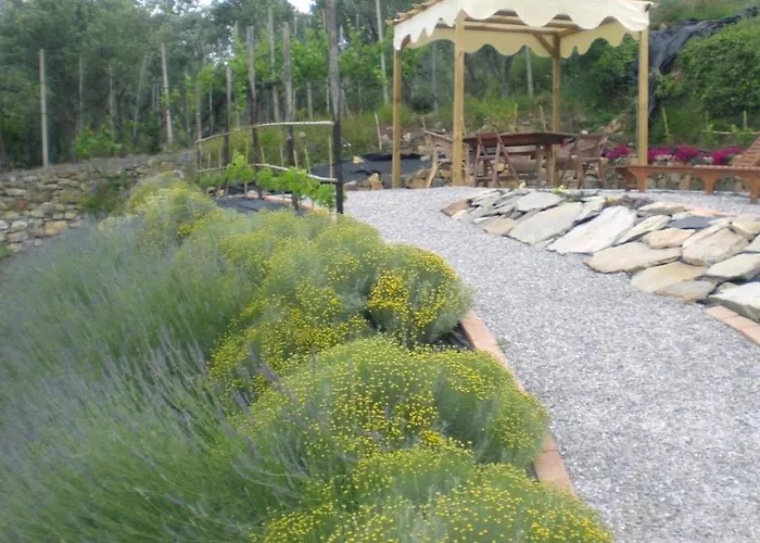 Il Giardino Degli Angeli *