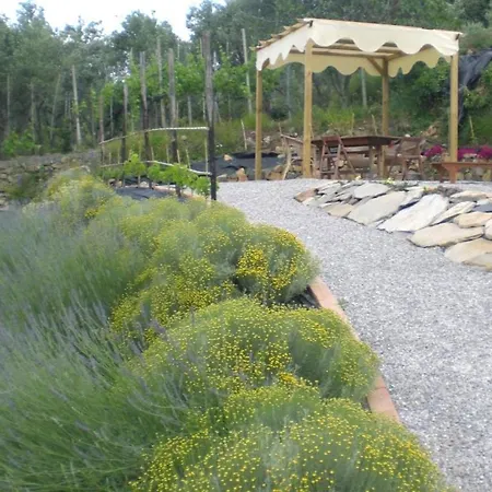 Il Giardino Degli Angeli *