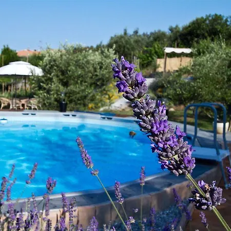 Alojamento de Acomodação e Pequeno-almoço Il Giardino Degli Angeli *