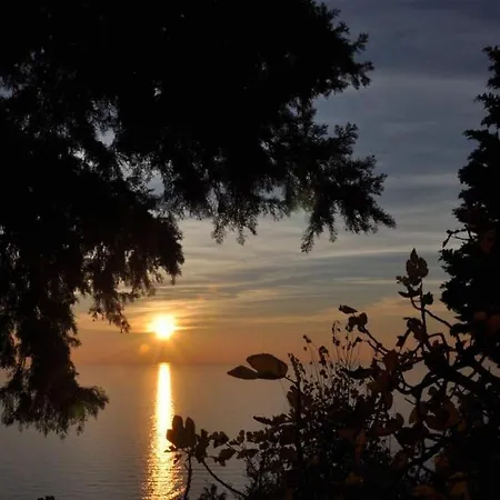 Il Giardino Degli Angeli *