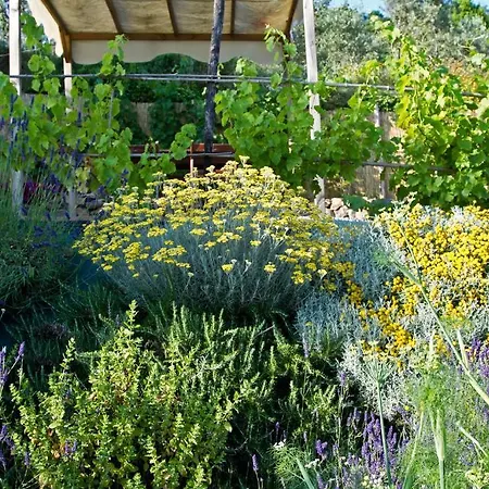 Il Giardino Degli Angeli * 弗拉穆拉