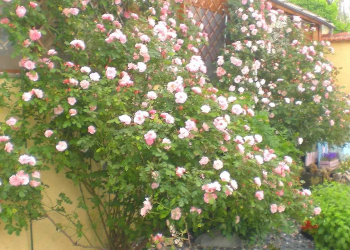 Il Giardino Degli Angeli *