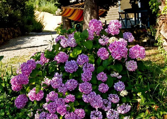 Il Giardino Degli Angeli Frühstückspension