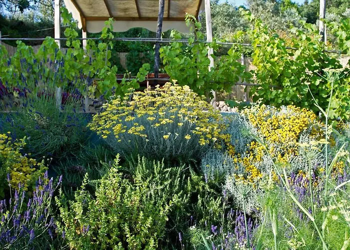 Il Giardino Degli Angeli * Framura