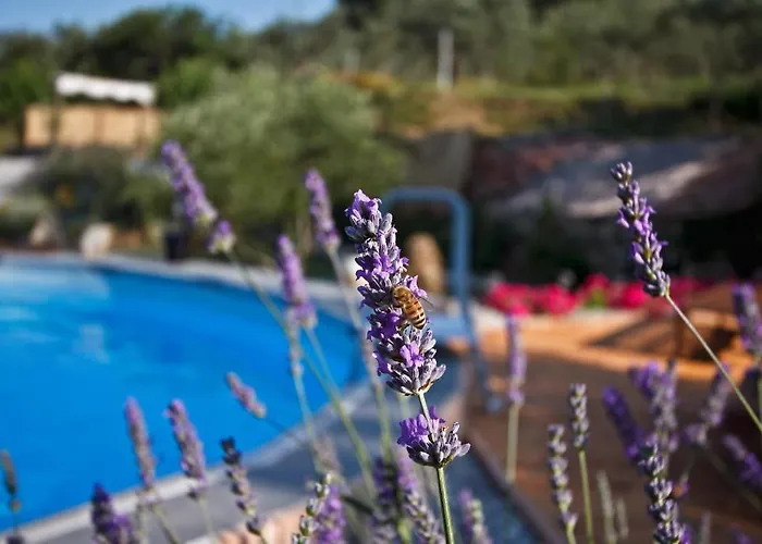 Bed & Breakfast Il Giardino Degli Angeli *